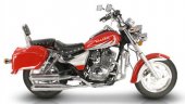 2010 Tank Sports Vision 250E photo